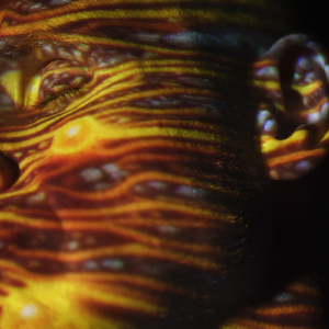 高潮流白浆潮喷av
