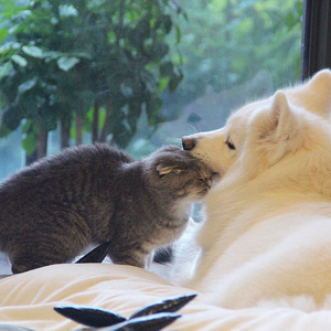 高潮流白浆潮喷av
